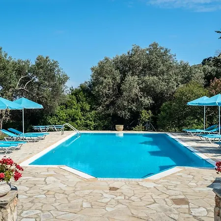Anemona C * Katelios