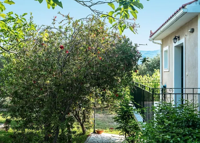 Apartment Anemona C Katelios