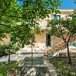 Anemona C * Katelios