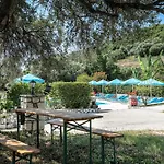 Anemona C *