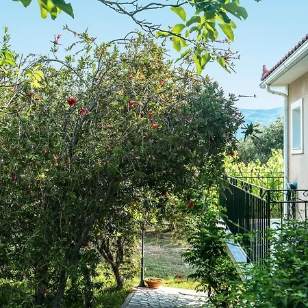 아파트 Anemona C 케팔로니아