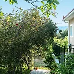 Apartamento Anemona C Katelios